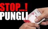 pungliii 782834221