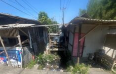IMG 20250723 WA00503