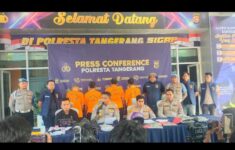 IMG 20250729 WA00361