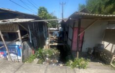 IMG 20250803 170643