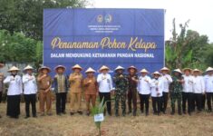 IMG 20250911 WA0008