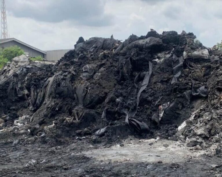 WhatsApp Image 2025 11 05 at 22.48.50 768x610 1