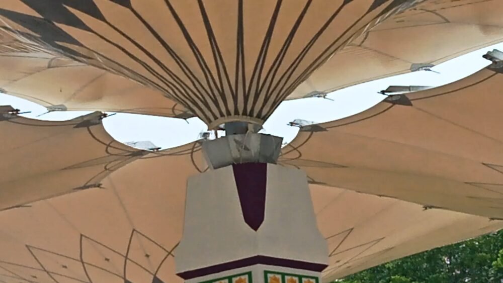 IMG 20260102 13230482