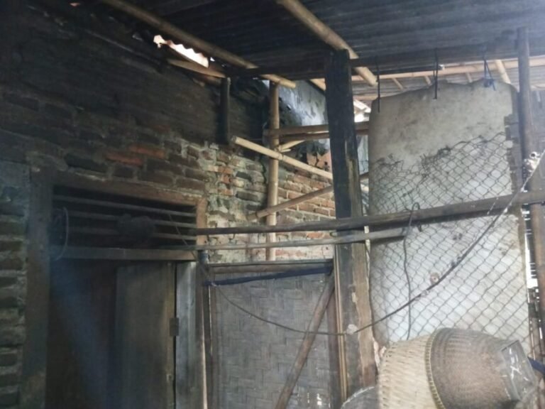 WhatsApp Image 2026 02 16 at 20.54.25 768x576 1