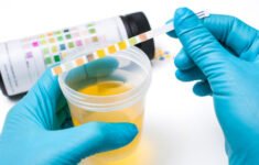 f7998ac755e4f4d55a78828d939cffb5